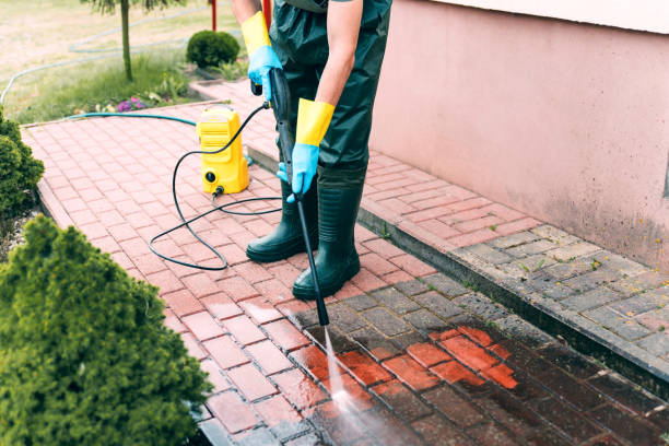 Animal Enclosure Cleaning in Crystal Lakes, OH